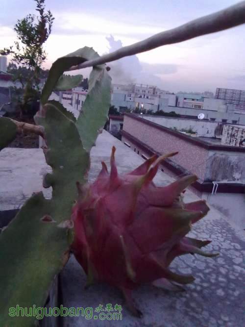 20120728006.jpg