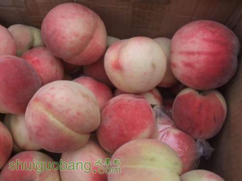 2012��07��27��֮�Ρ����񡢺��¶����Ե��3�� 021.jpg