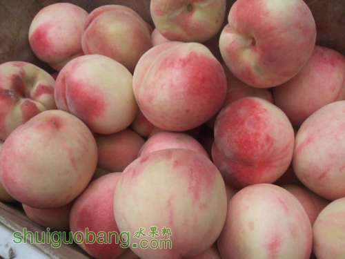 2012��07��27��֮�Ρ����񡢺��¶����Ե��3�� 020.jpg