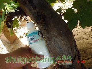 CIMG0039_Ŀѹ.JPG