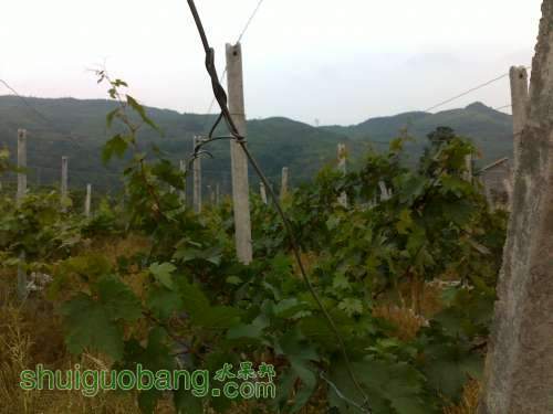 20120802552.jpg