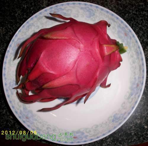 ALIM1187.JPG