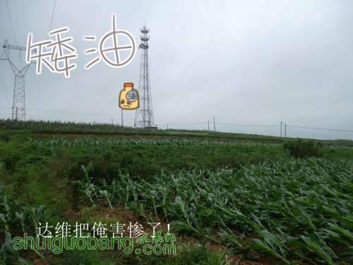 sam_3162_����.jpg
