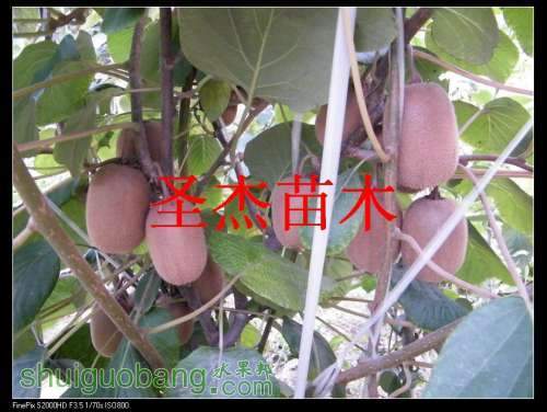 DSCF6127.jpg