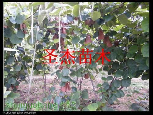 DSCF6180.jpg