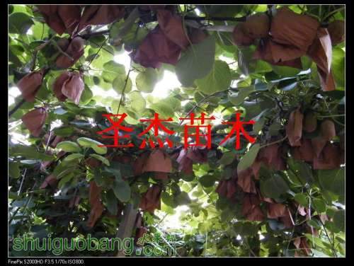 DSCF6202.jpg