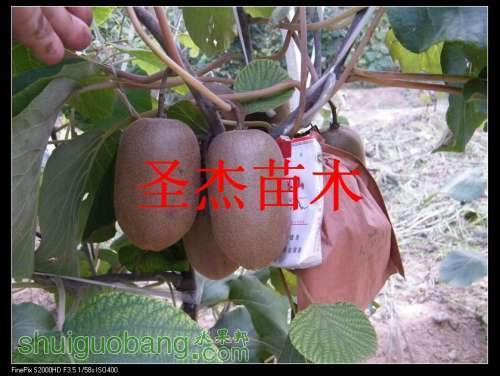 DSCF6293.jpg