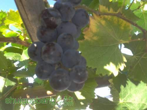 2012-07-30 07.49.20.jpg
