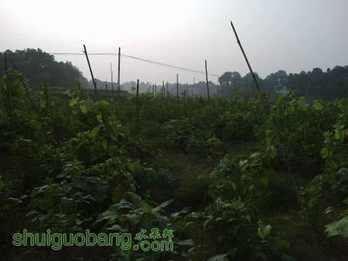 20120808545.jpg
