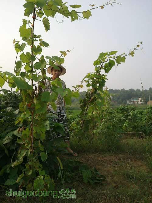 20120808546.jpg