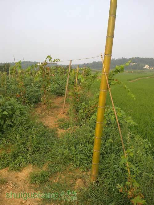 20120808551.jpg