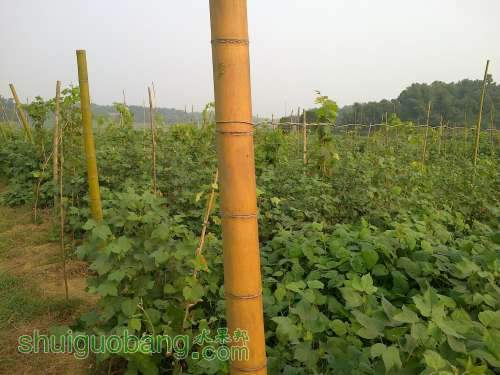 20120808555.jpg