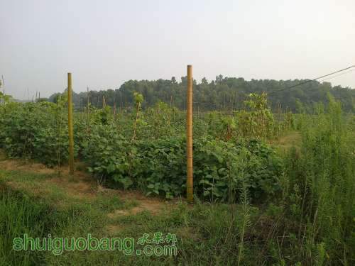 20120808557.jpg