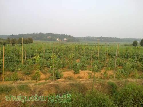 20120808558.jpg