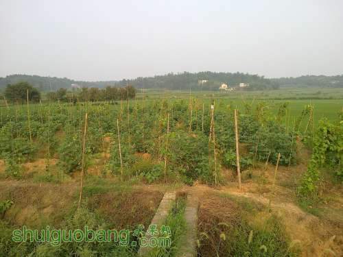 20120808560.jpg