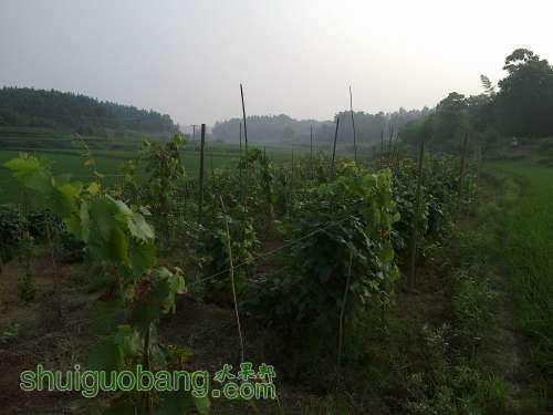 20120808561.jpg