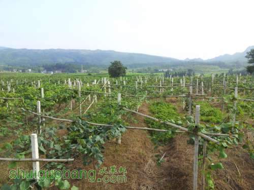 20120721_165608.jpg