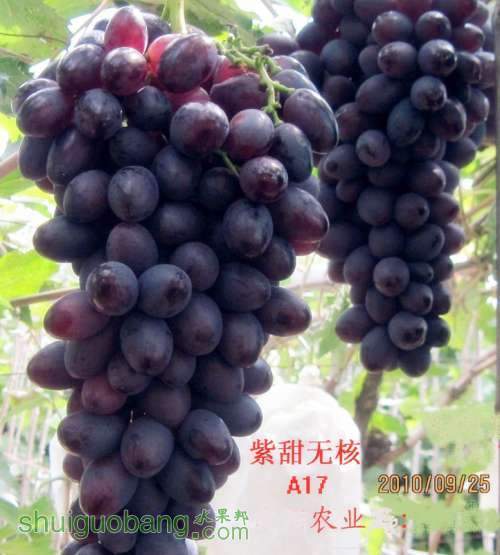 ������С �����޺�2010.09.25 046_����.jpg
