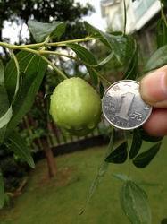 ������С ��ת IMG_0354.jpg