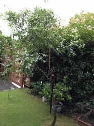 ������С ��ת IMG_0356.jpg