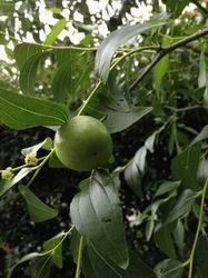 ������С ������С IMG_0343.jpg