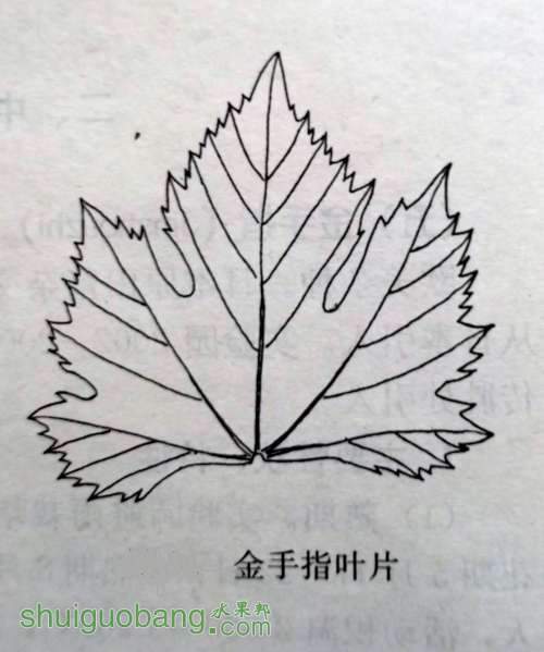 ������С DSCF2724.jpg