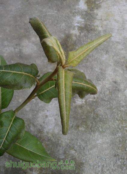 IMAG0085.jpg