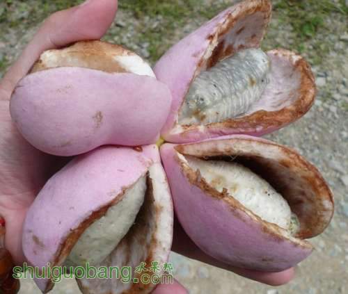mutong.jpg
