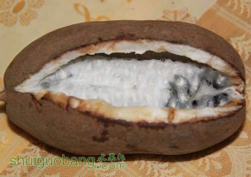 mutong (2).jpg