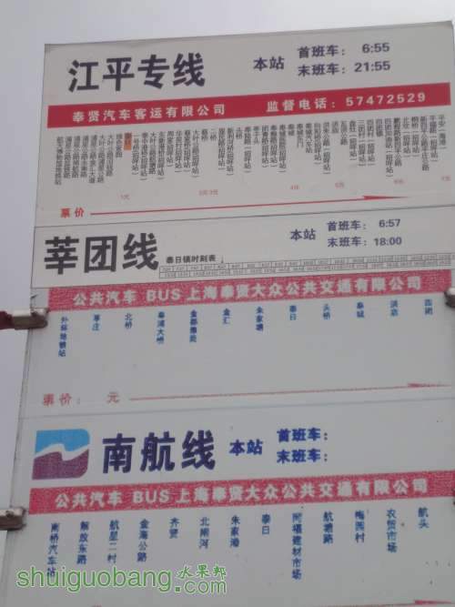 DSC02199.JPG