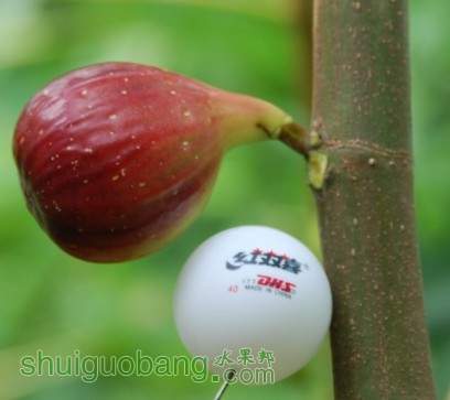 ֣�����޻���