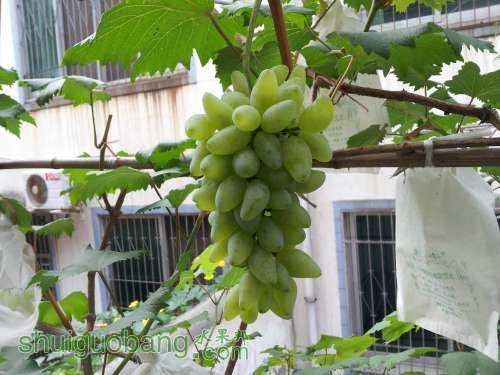 20120717_080913.jpg