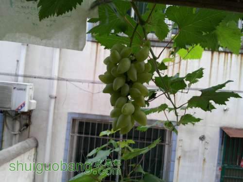 20120717_184300.jpg