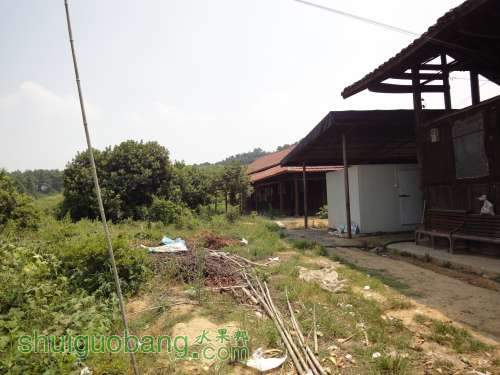 ����ʦ�ķ���