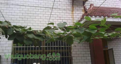 IMG_20120818_061355.jpg