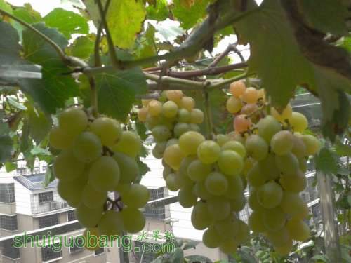 2012-08-11 13.00.24.jpg