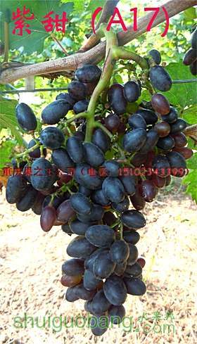 20120805105639444.jpg
