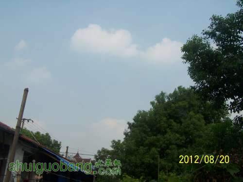 100_1179 (1024x768).jpg