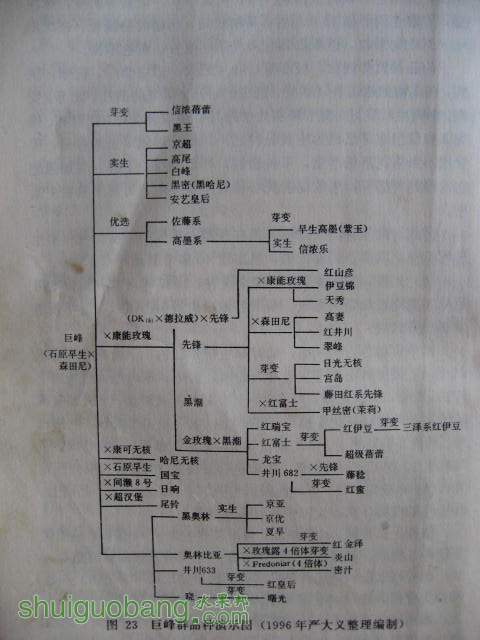 ��������һ�� 053.jpg