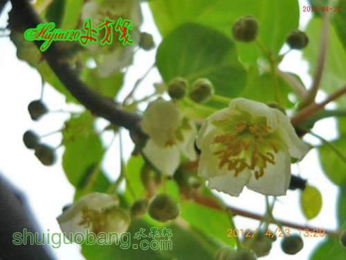 201204234.jpg
