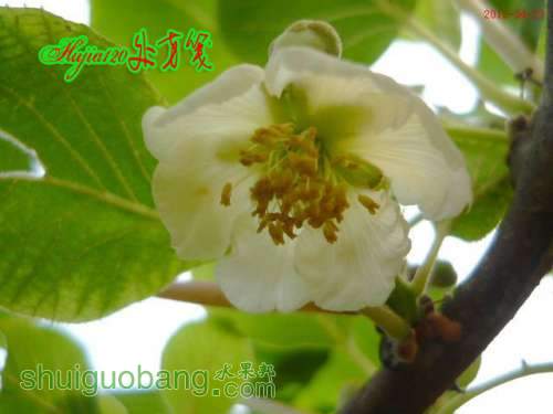 201204235.jpg
