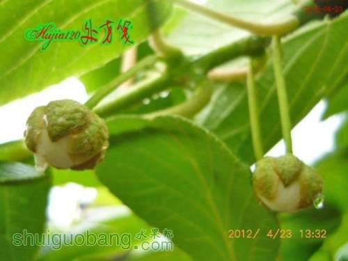 20120423.jpg