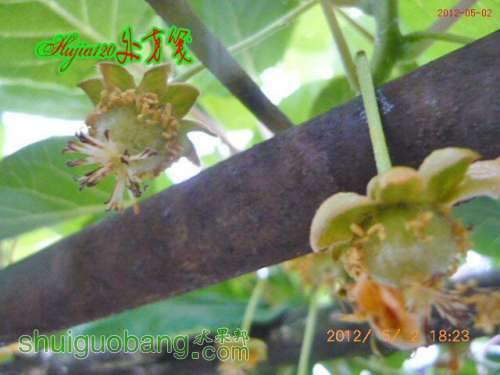 20120502.JPG