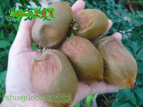 201207300.jpg