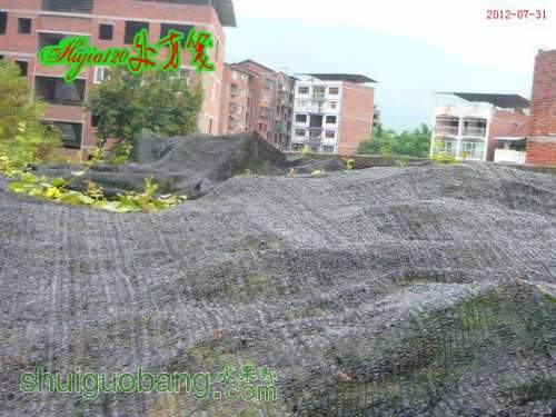 20120730.JPG