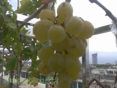 2012-08-22 09.11.14.jpg