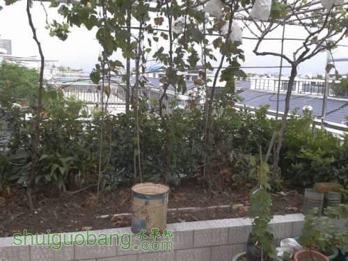 2012-08-24 13.26.16.jpg