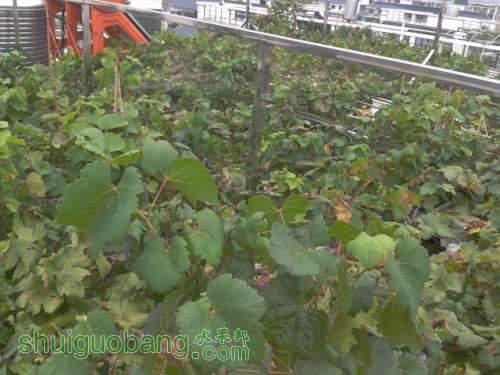 2012-08-24 13.29.47.jpg