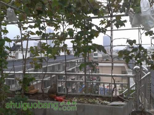 2012-08-24 13.31.55.jpg