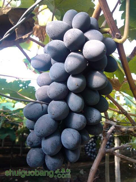 MG_20120819_071828.jpg